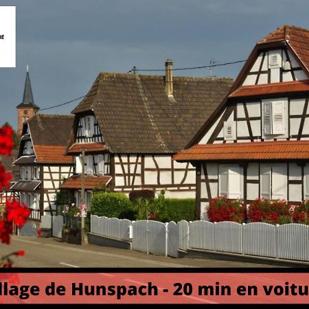 Duplex - Le Cosy - Hyper Centre Lägenhet Haguenau Exteriör bild