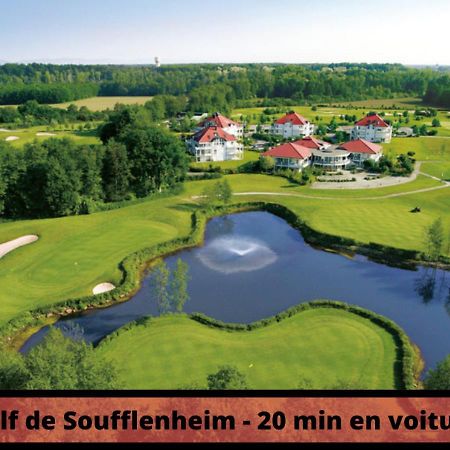 Duplex - Le Cosy - Hyper Centre Lägenhet Haguenau Exteriör bild