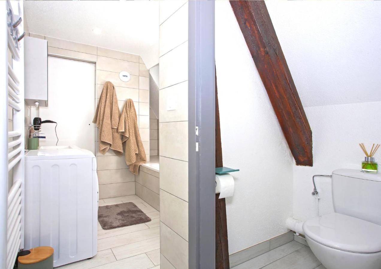 Duplex - Le Cosy - Hyper Centre Lägenhet Haguenau Exteriör bild