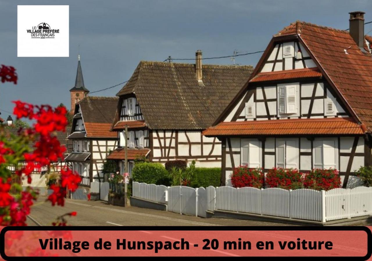 Duplex - Le Cosy - Hyper Centre Lägenhet Haguenau Exteriör bild