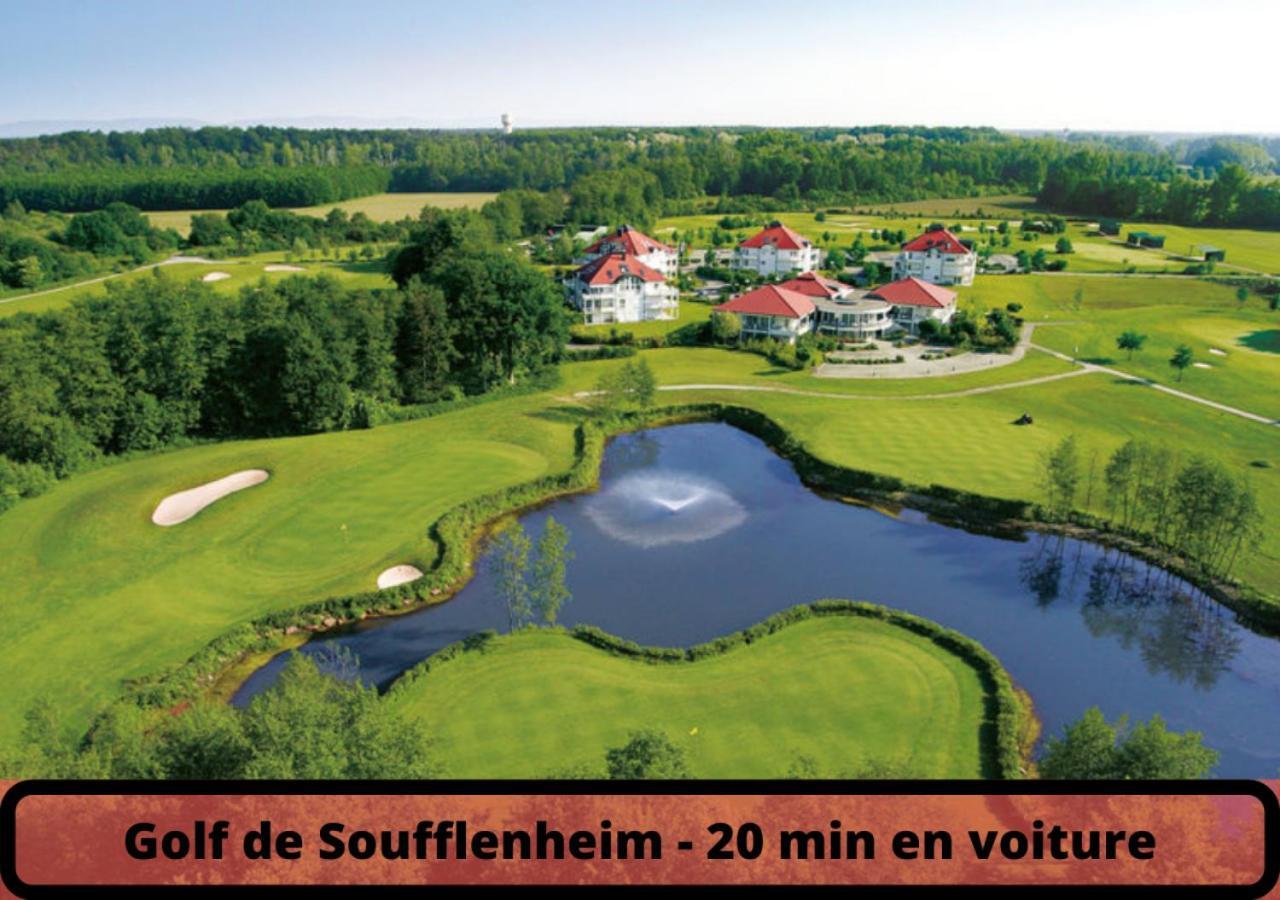 Duplex - Le Cosy - Hyper Centre Lägenhet Haguenau Exteriör bild