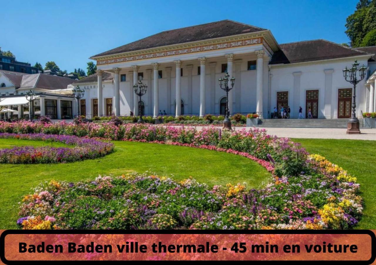 Duplex - Le Cosy - Hyper Centre Lägenhet Haguenau Exteriör bild